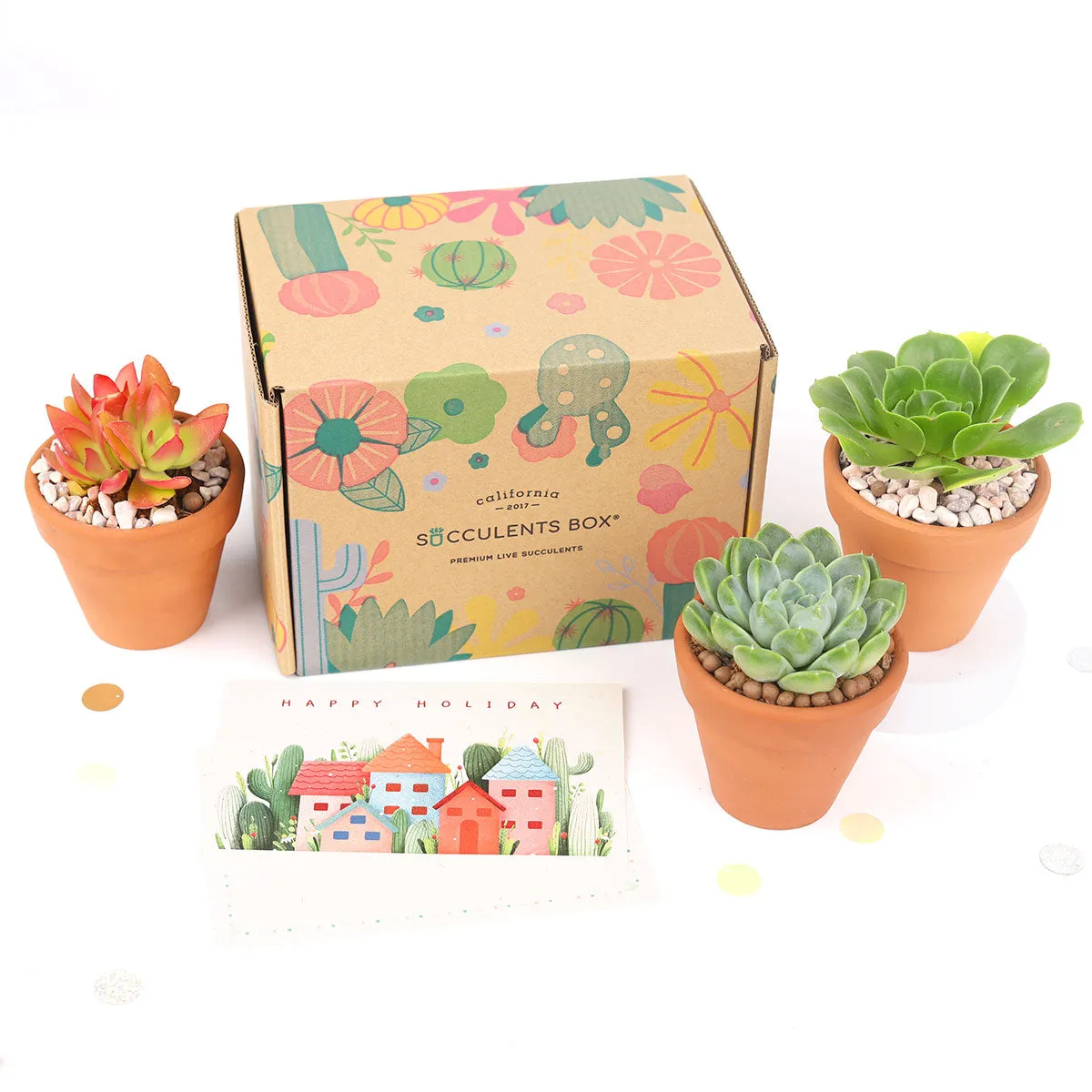 3 Succulents 3 Clay Pots/month | Subscription Boxes