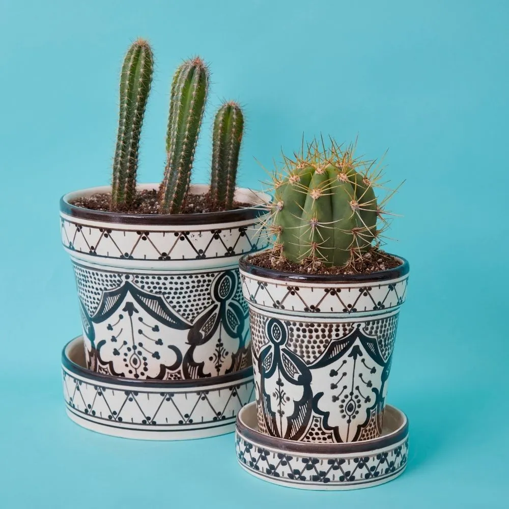 Black Arabesque Ceramic Large Planter