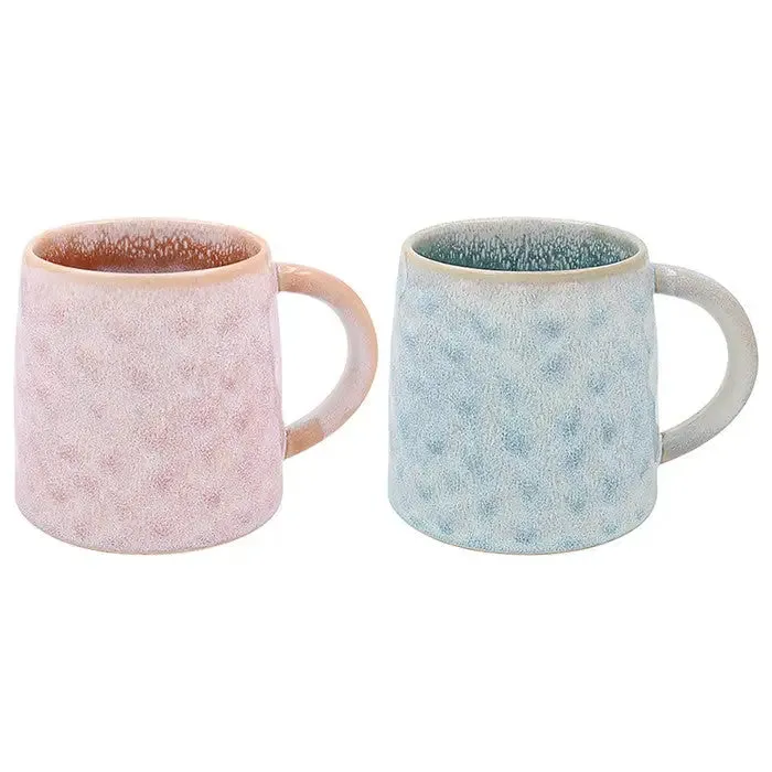 Elements Pale Mug Box Set of 2
