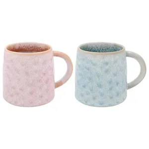 Elements Pale Mug Box Set of 2
