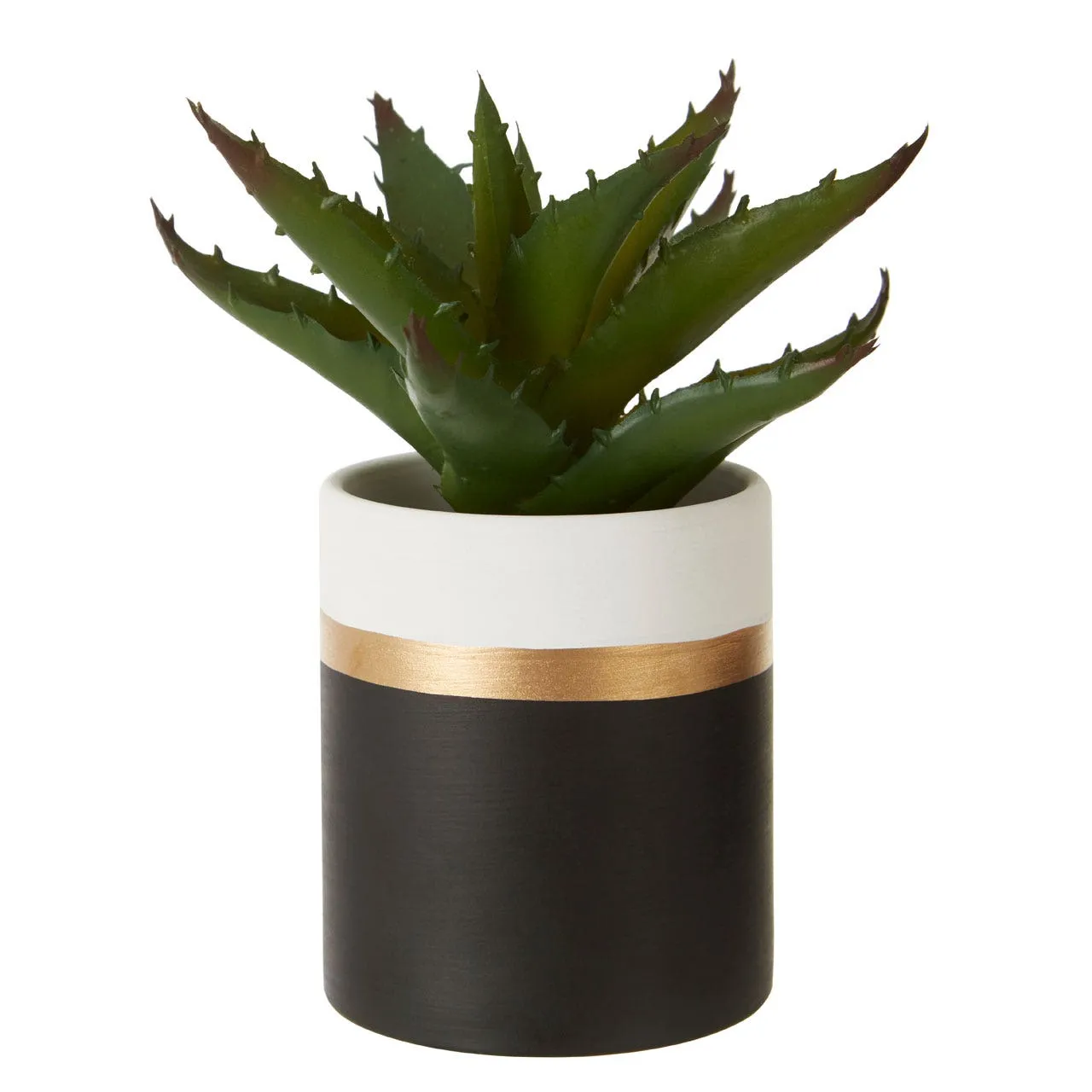 Fiori Set of 3 Black Pot Succulents