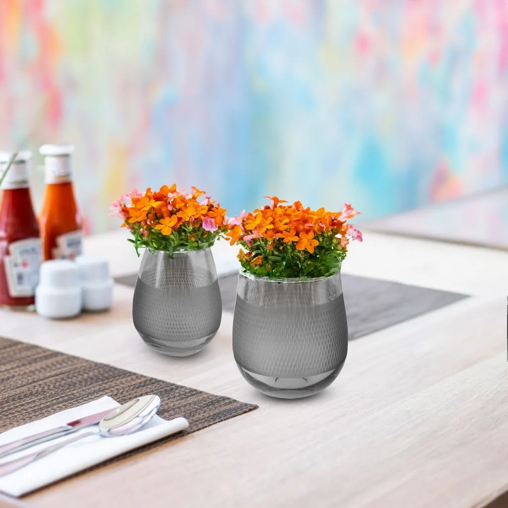 Fleurine Colored Glass Collection, Set of 2 Frosted Design Vases