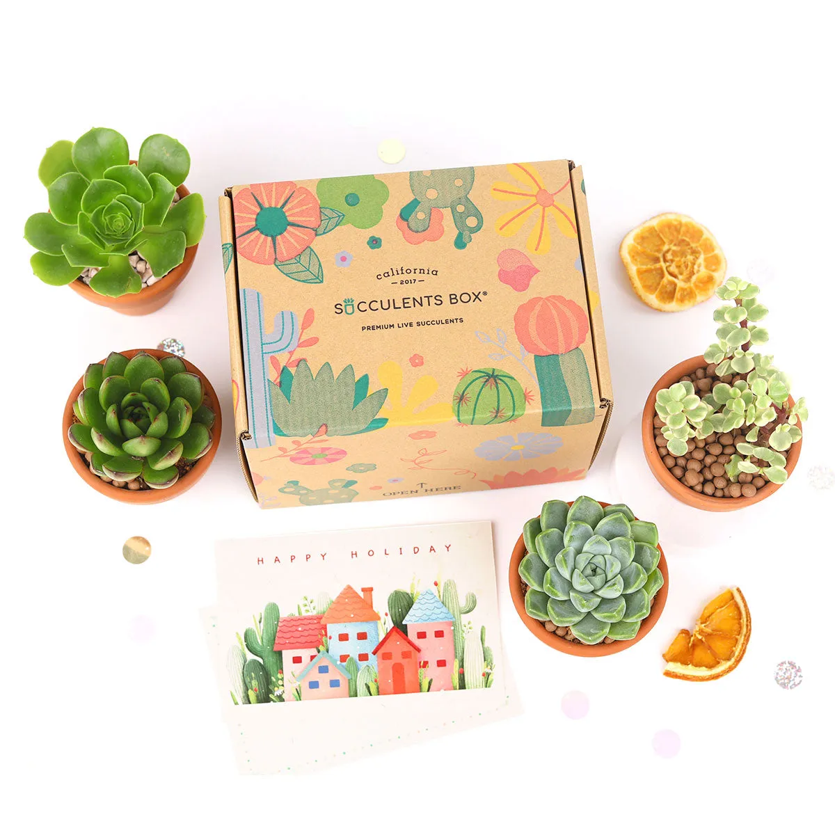 Gift 4 Succulents 4 Clay Pots/ Month Subscription - 1 time charge