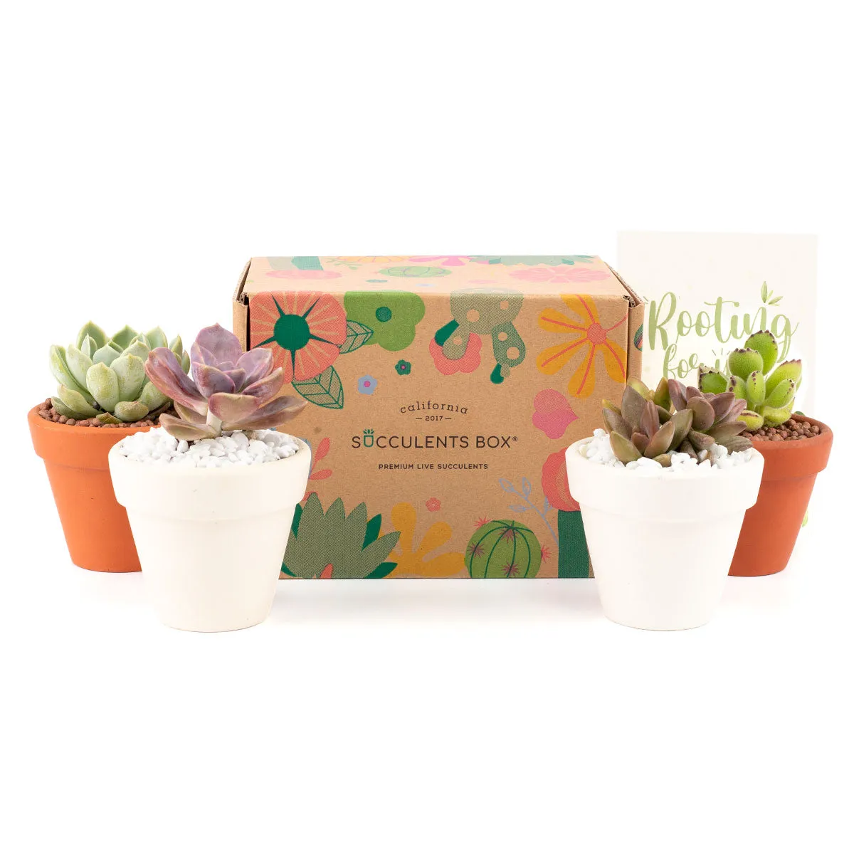 Gift 4 Succulents 4 Clay Pots/ Month Subscription - 1 time charge