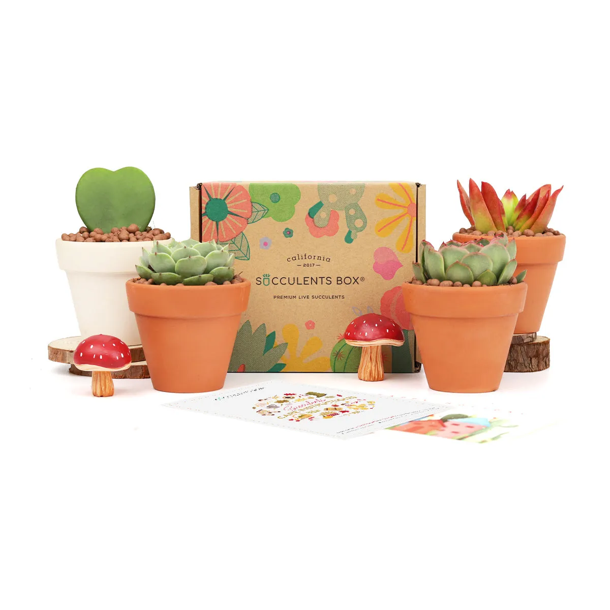 Gift 4 Succulents 4 Clay Pots/ Month Subscription - 1 time charge