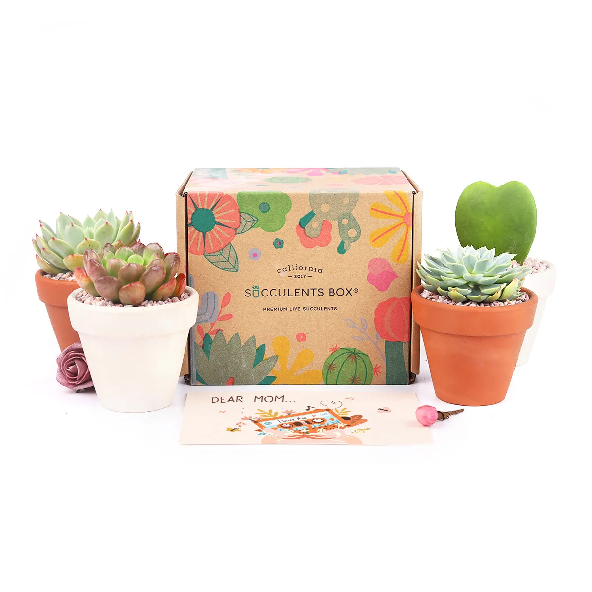 Gift 4 Succulents 4 Clay Pots/ Month Subscription - 1 time charge