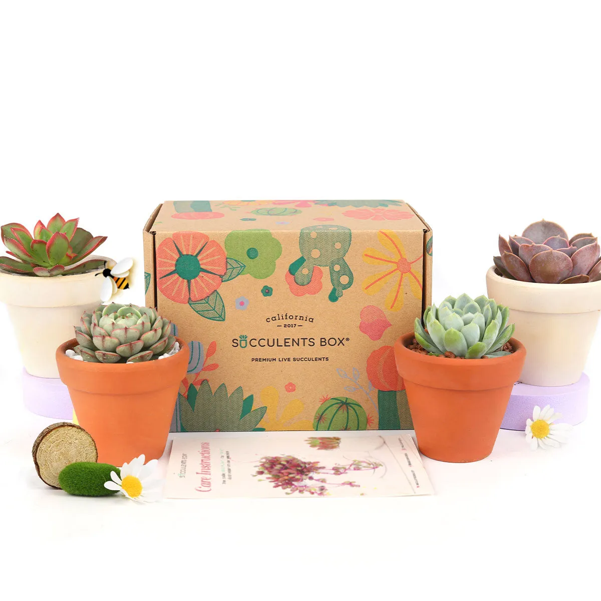 Gift 4 Succulents 4 Clay Pots/ Month Subscription - 1 time charge