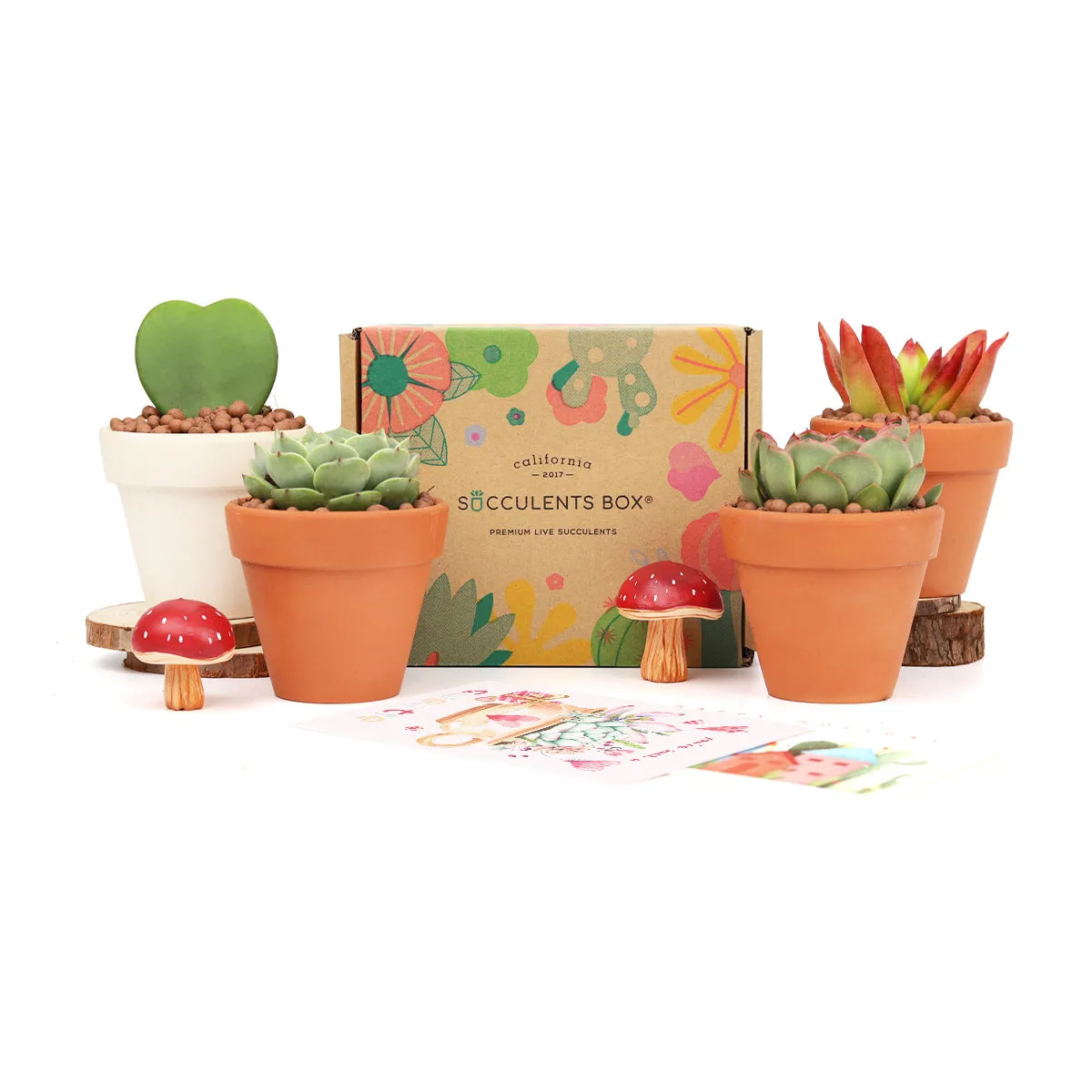 Gift 4 Succulents 4 Clay Pots/ Month Subscription - 1 time charge