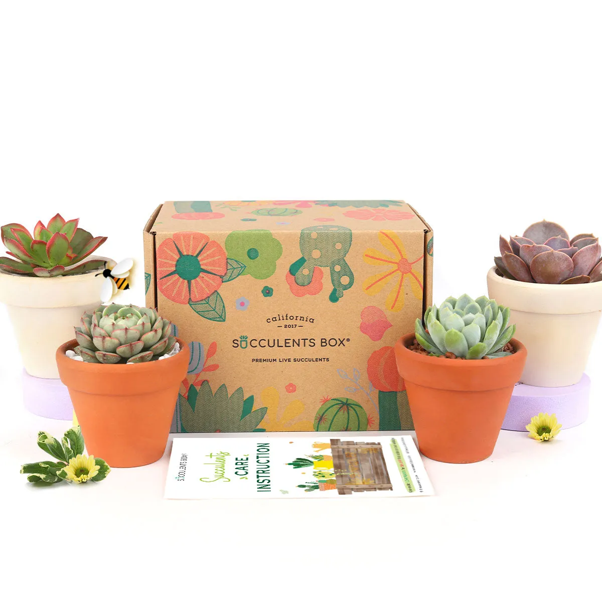 Gift 4 Succulents 4 Clay Pots/ Month Subscription - 1 time charge
