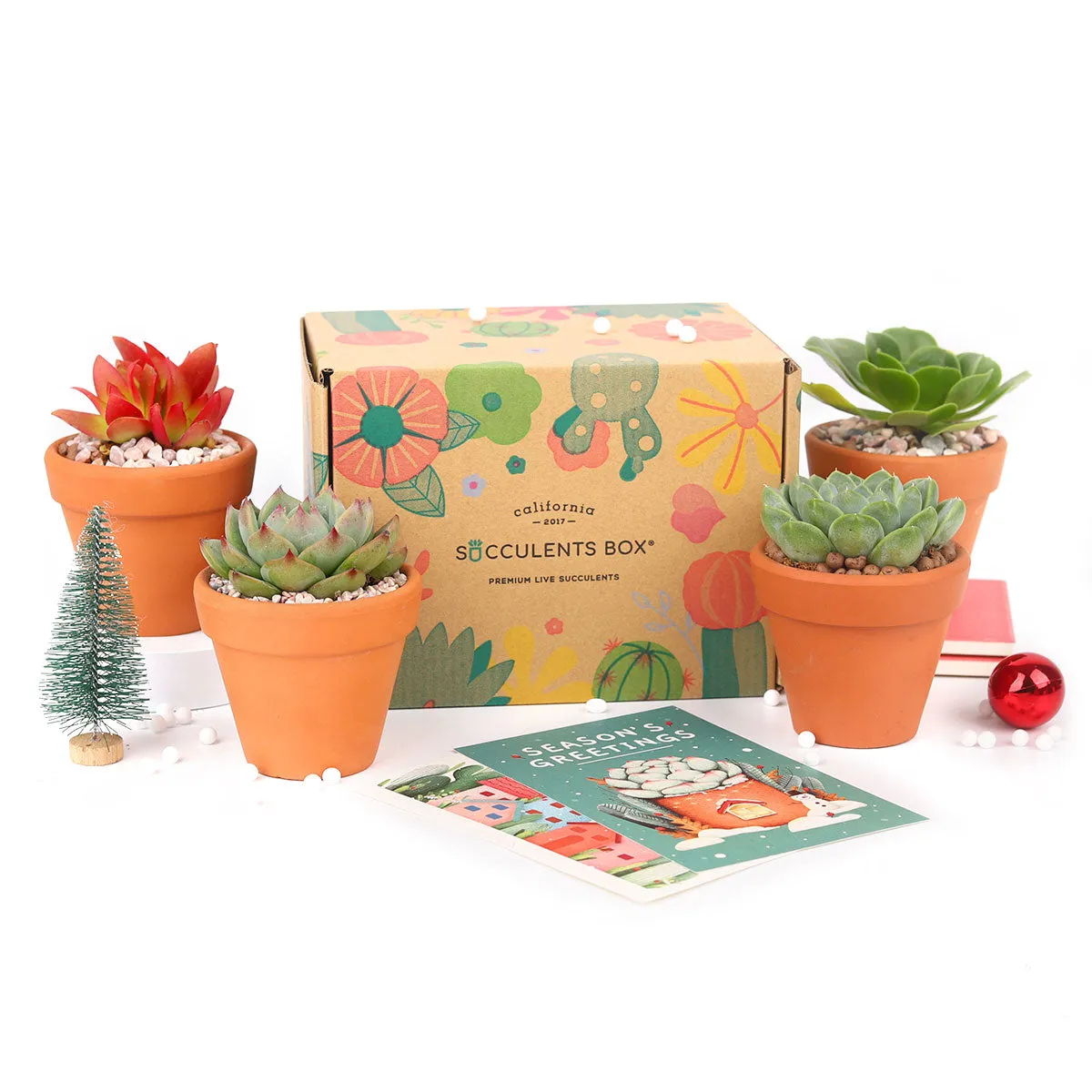 Gift 4 Succulents 4 Clay Pots/ Month Subscription - 1 time charge