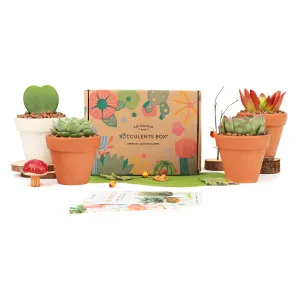 Gift 4 Succulents 4 Clay Pots/ Month Subscription - 1 time charge