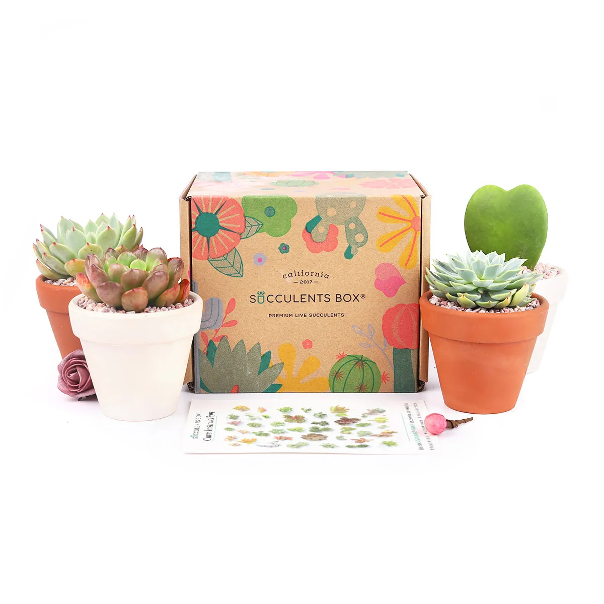 Gift 4 Succulents 4 Clay Pots/ Month Subscription - 1 time charge
