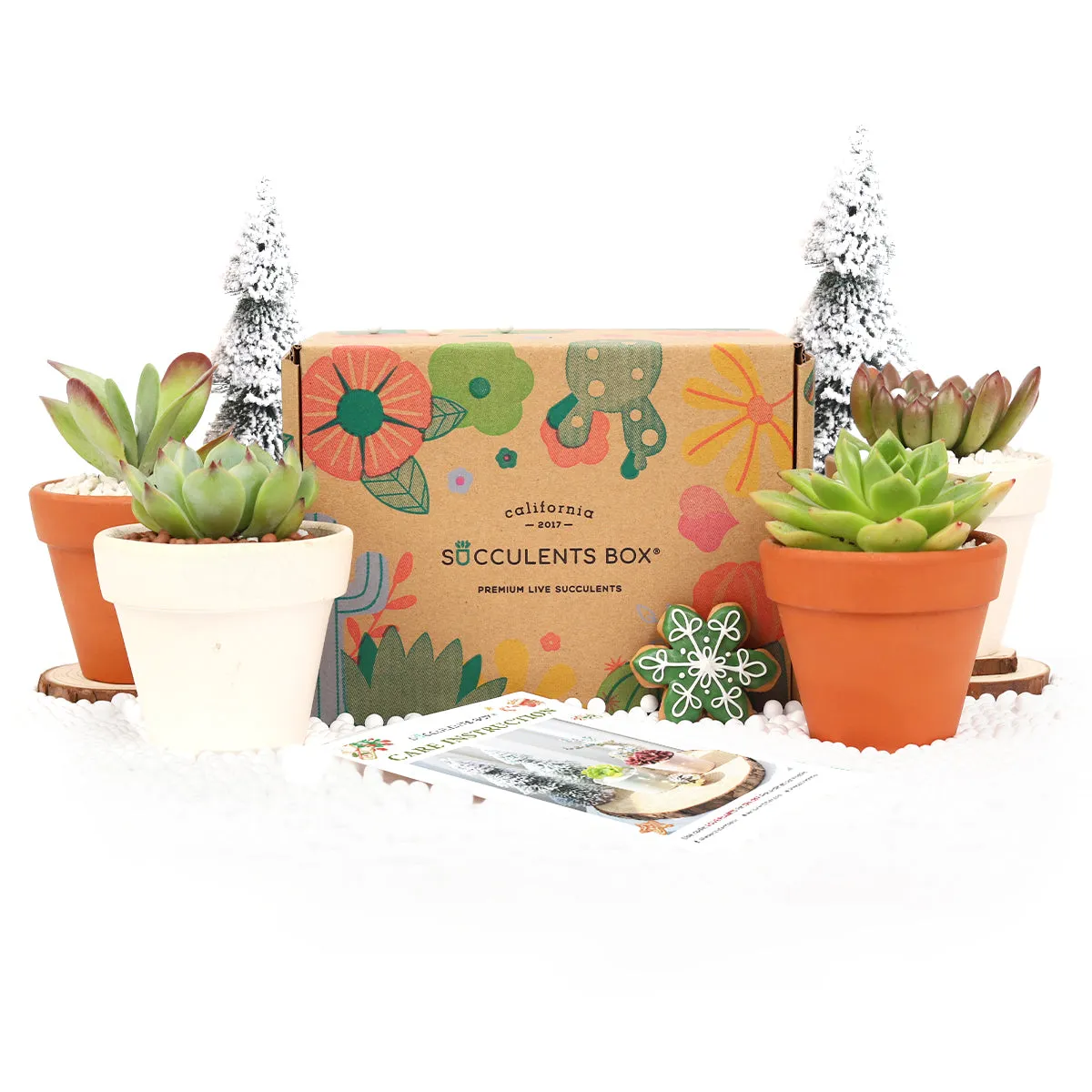 Gift 4 Succulents 4 Clay Pots/ Month Subscription - 1 time charge