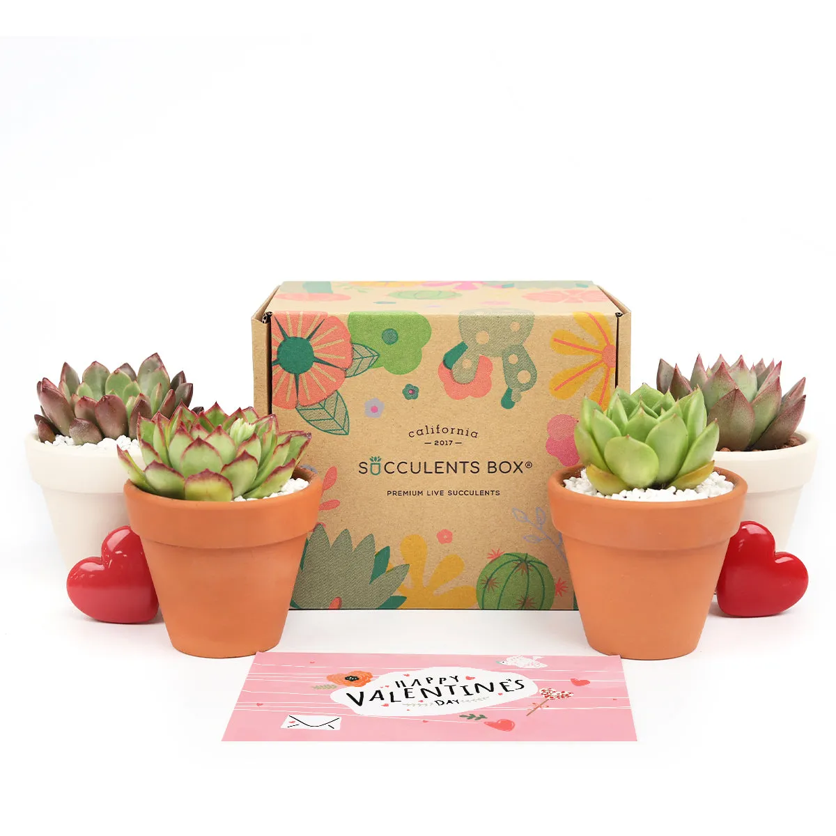 Gift 4 Succulents 4 Clay Pots/ Month Subscription - 1 time charge
