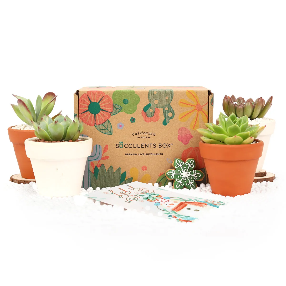 Gift 4 Succulents 4 Clay Pots/ Month Subscription - 1 time charge