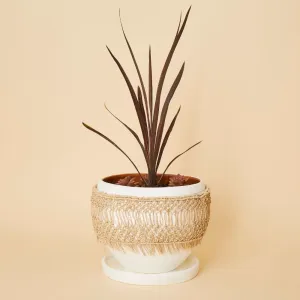 Large Macrame Wrap Terracotta Pot