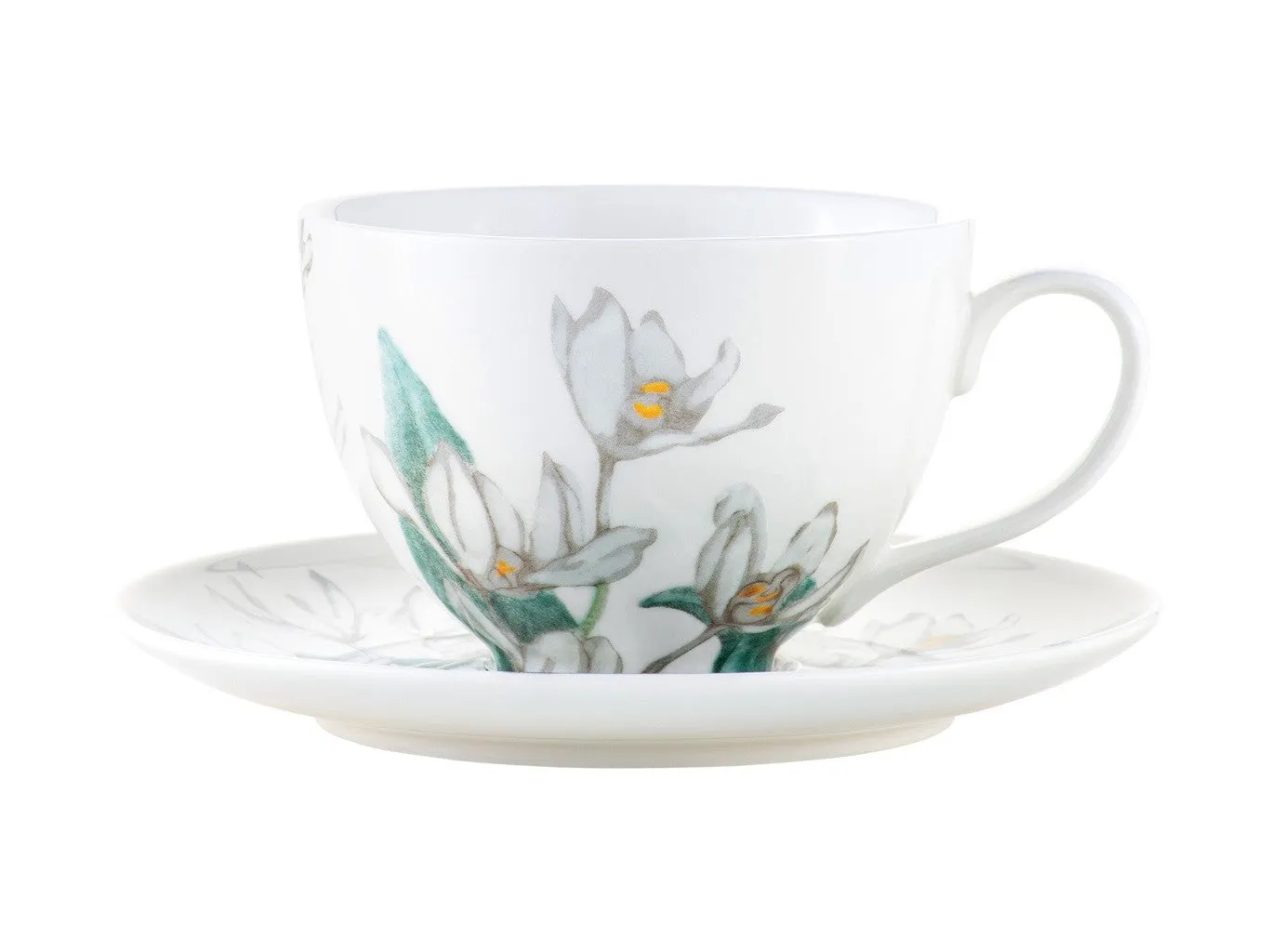 Maxwell & Williams Royal Botanic Gardens Australian Orchids Cup & Saucer 240ML White Gift Boxed