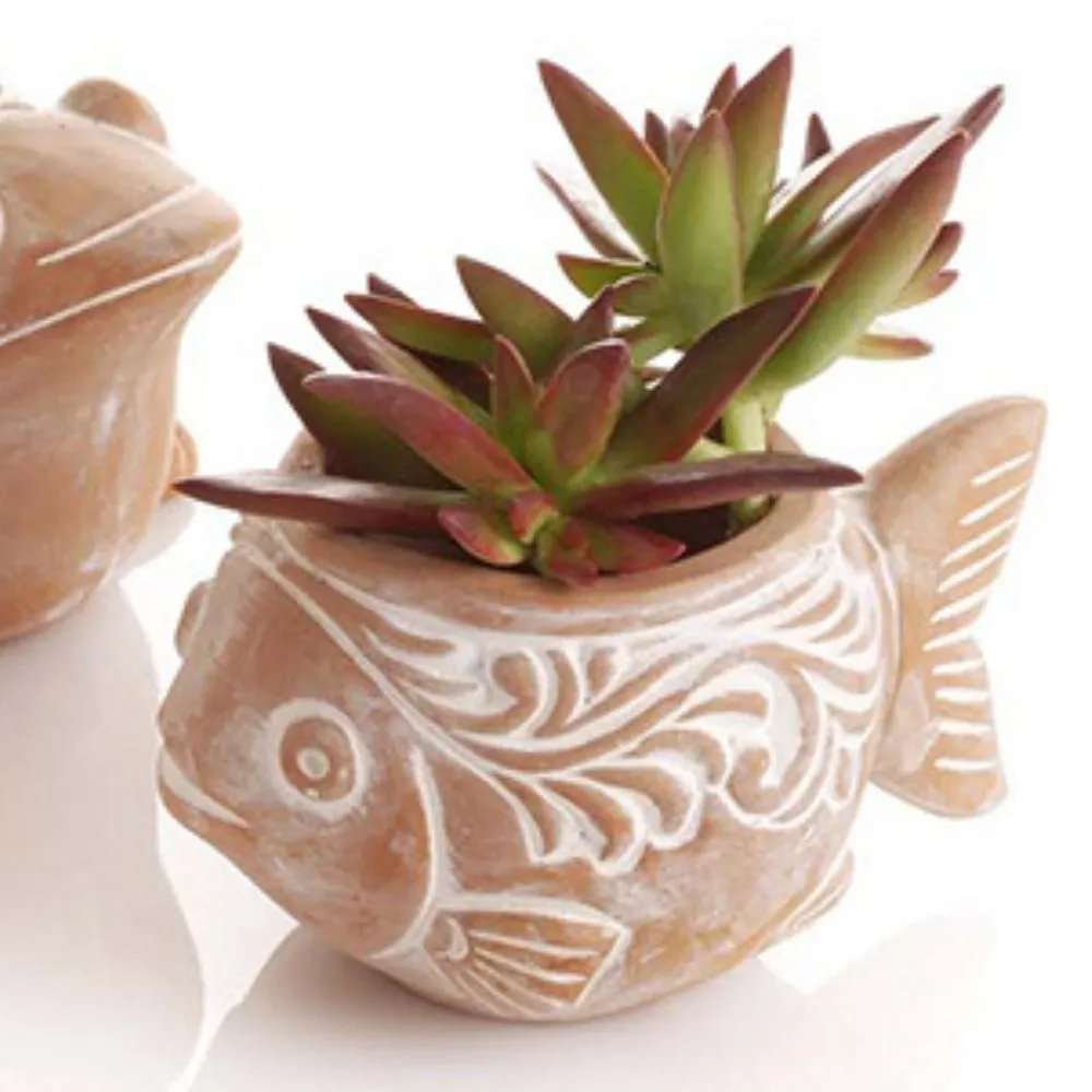 Mini Terracotta Fish Frog Turtle Pot Set