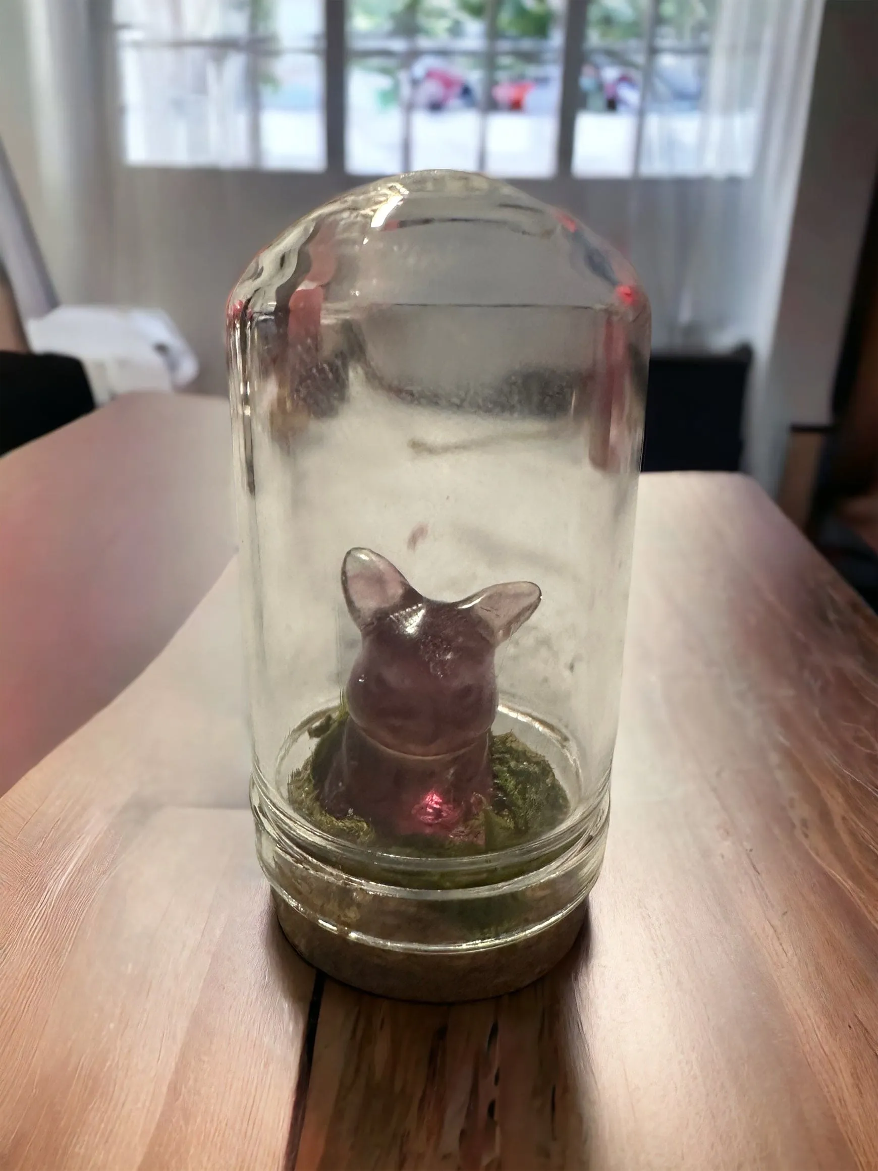 Pokémon Terrarium