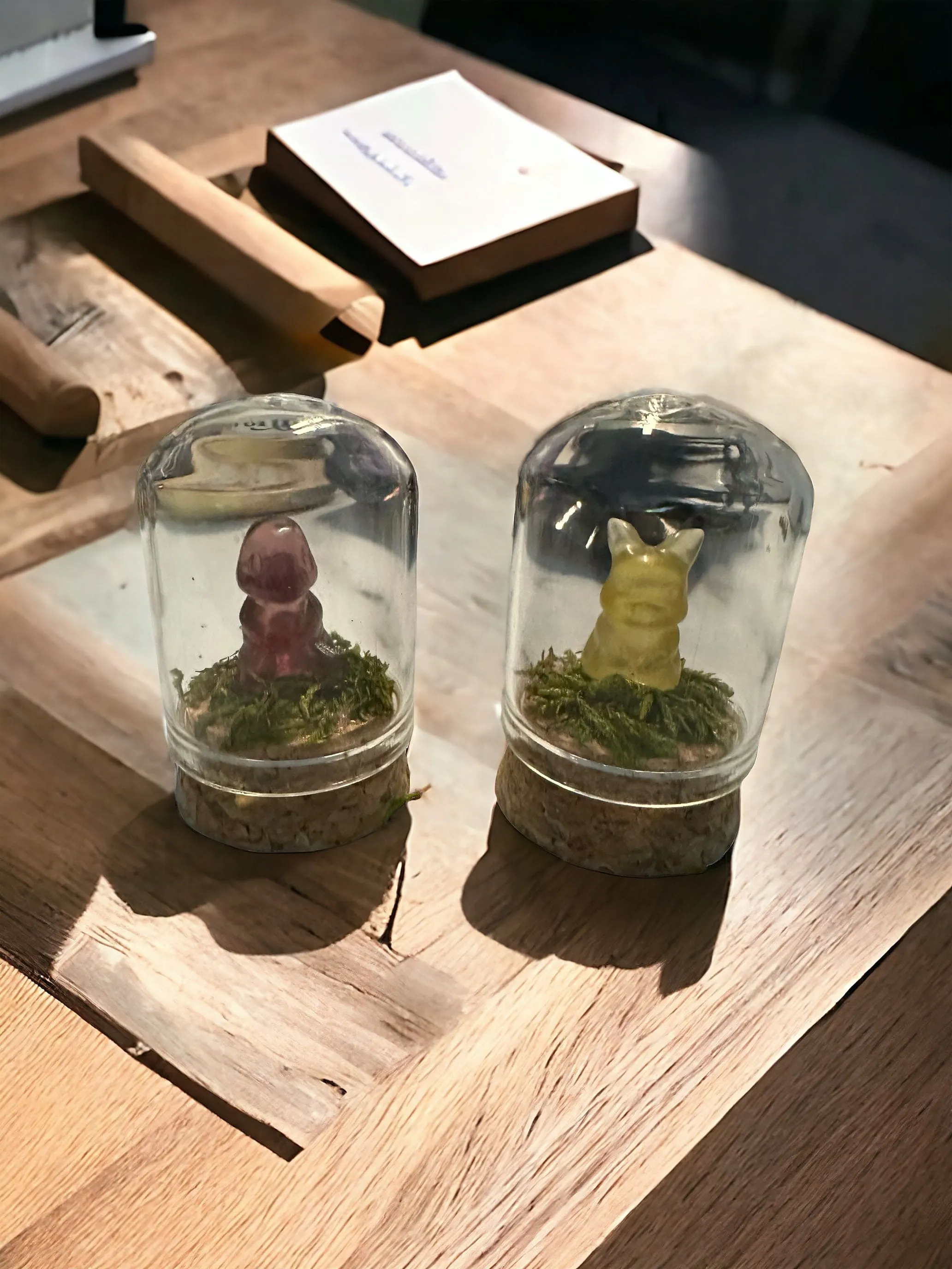 Pokémon Terrarium