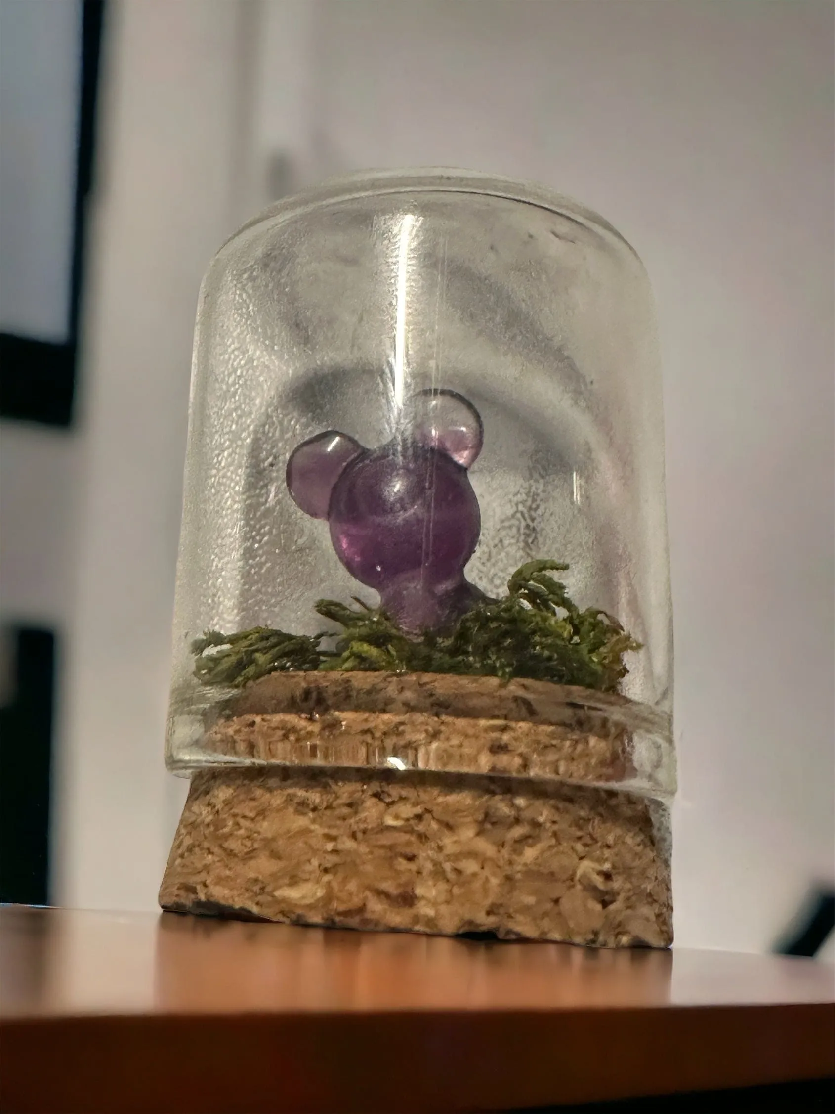 Pokémon Terrarium