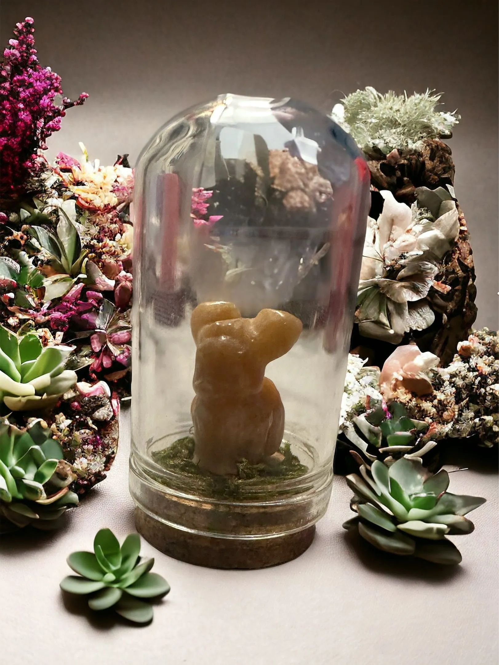 Pokémon Terrarium
