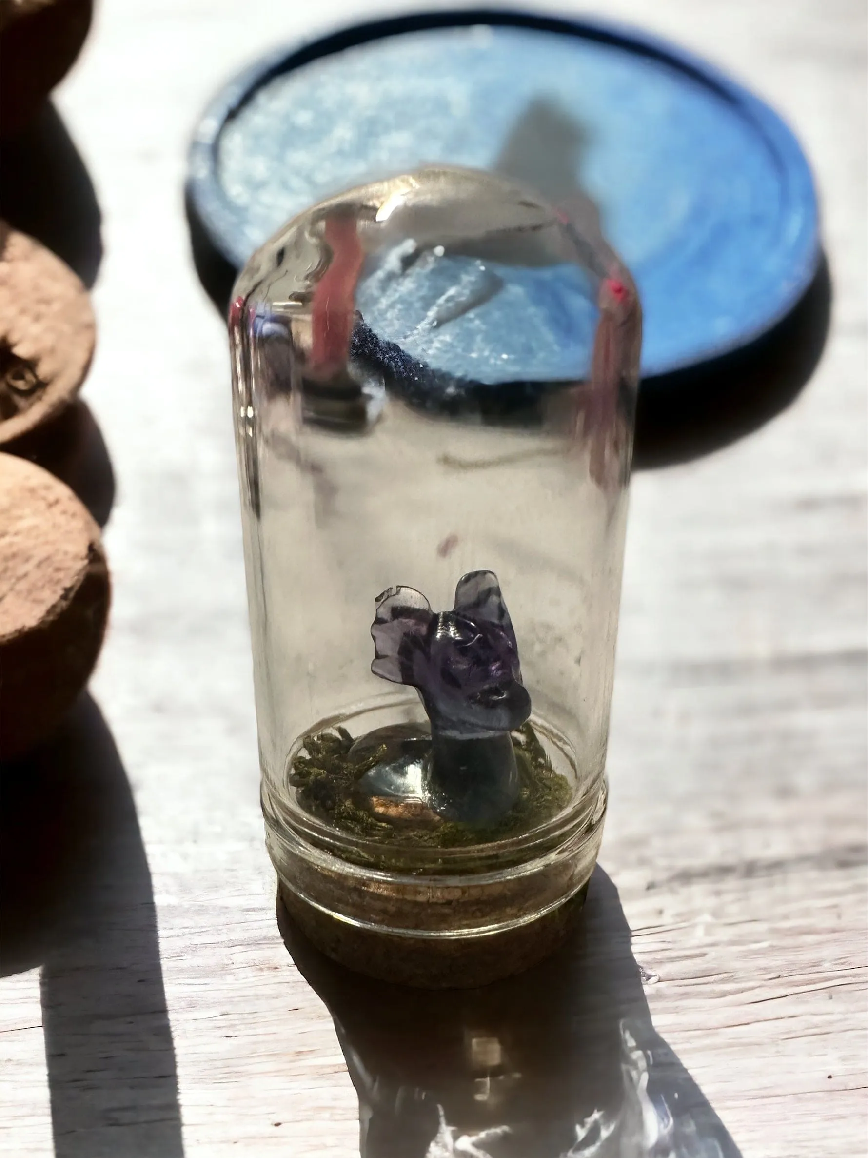 Pokémon Terrarium