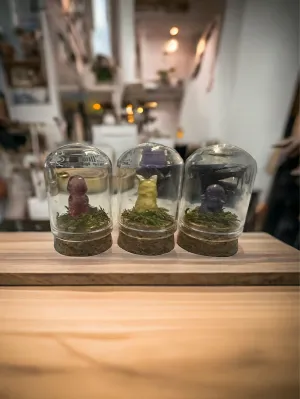Pokémon Terrarium