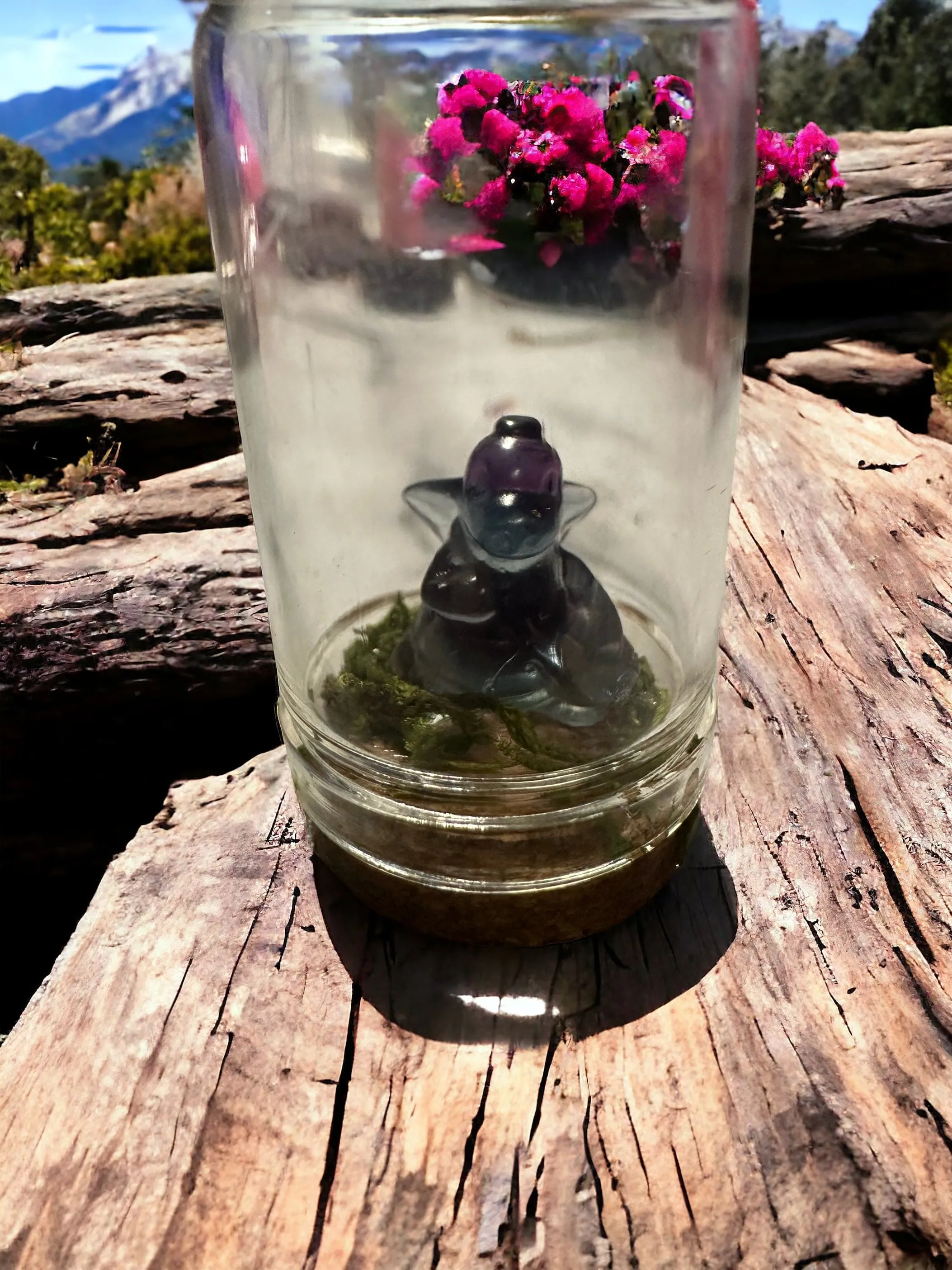 Pokémon Terrarium