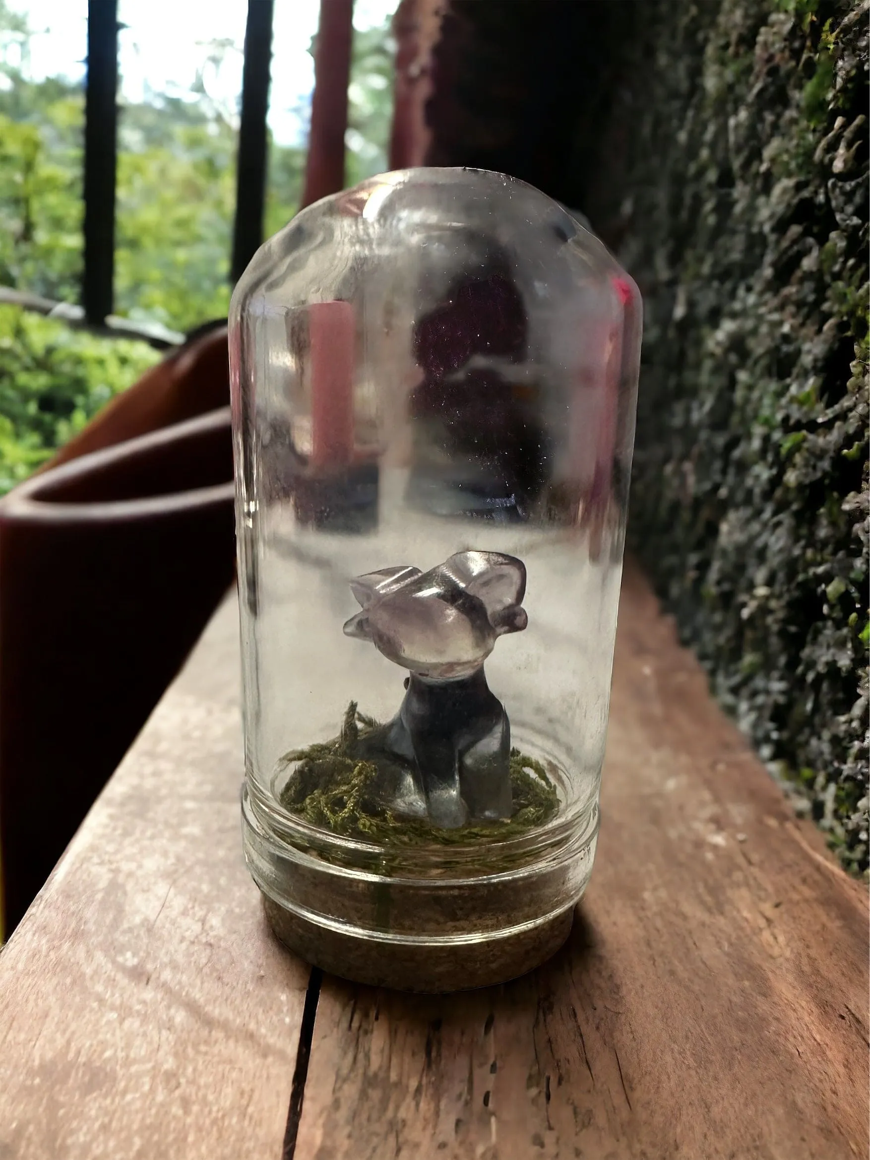 Pokémon Terrarium