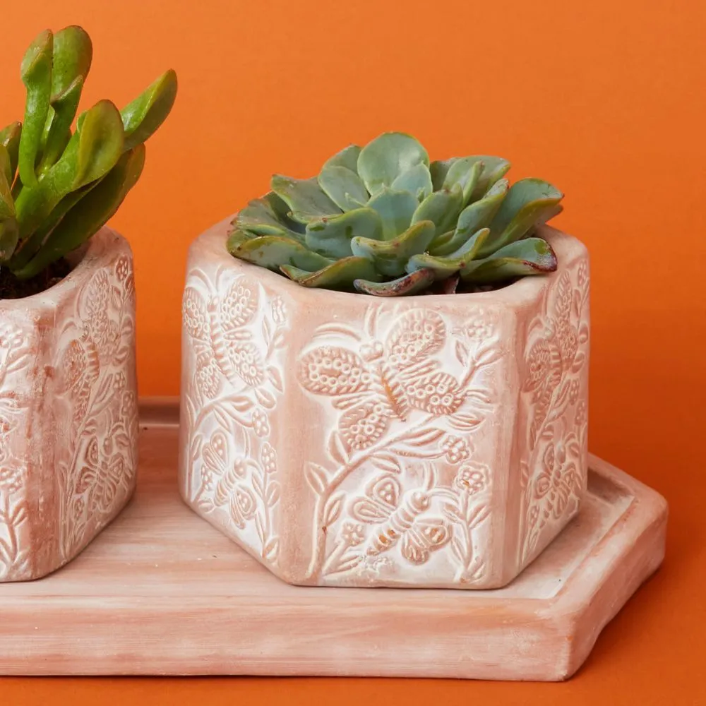 Small Butterfly Hex Terracotta Pot Tray Set