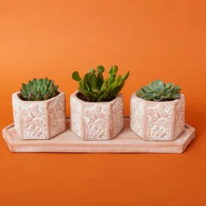 Small Butterfly Hex Terracotta Pot Tray Set