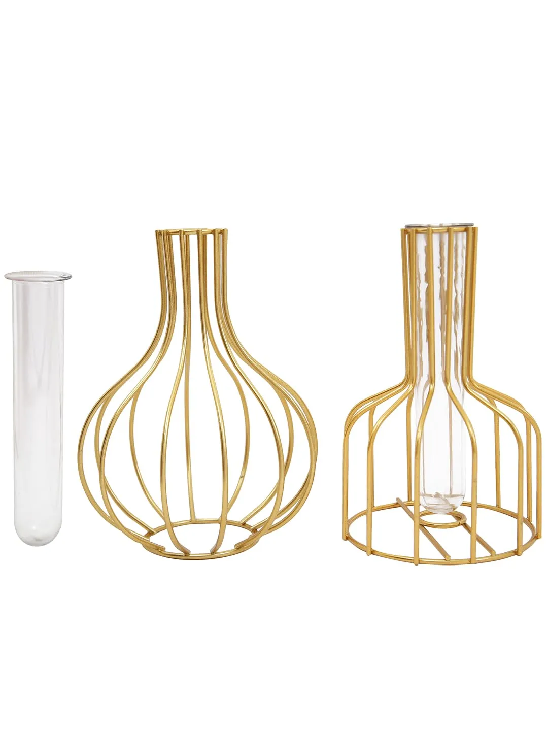 TIED RIBBONS Metal Frame Test Tube Glass Planter Vase Set of 2 for Flowers Plants Home Decor Living Room Bedroom Hall Kitchen Office Table Top Desk Centerpiece Decoration Gifting Items